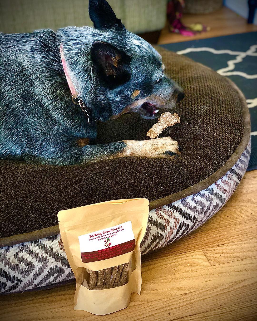 Dog Treats